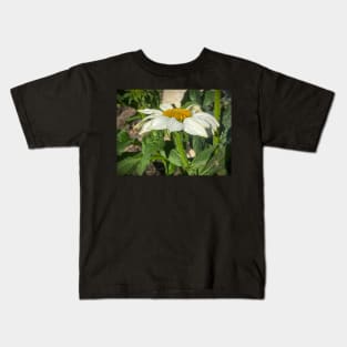 Newly Opened Coneflower by Debra Martz Kids T-Shirt